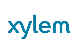 xylem
